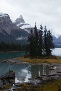 wilderness