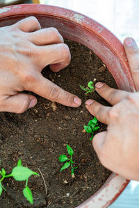 Midsection of person holding hands in mud