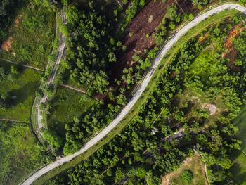 Aerial view of nature abstract with winding road and pond