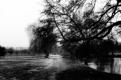 Trees on field against clear sky during winter