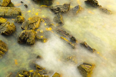 Close-up of rocks