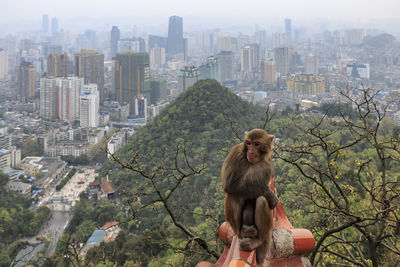 Full length of man sitting against buildings in city