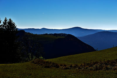 Scenic view of field against clear sky