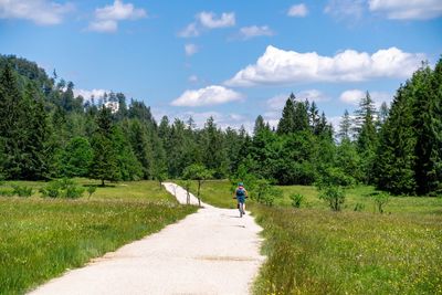 Rear view of woman on mountain bike on gravel road surrounded by blooming fields, austria.
