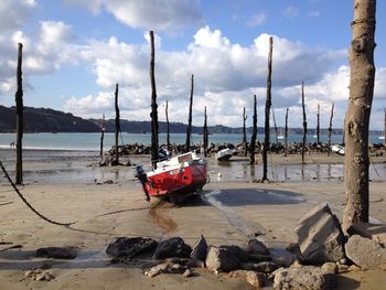 Boats moored at beach by dead trees against sky