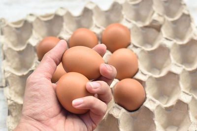 Close-up of hand holding eggs