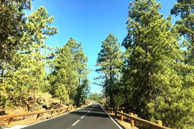 Empty road amidst trees against clear sky