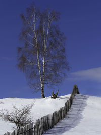 Bare tree on snow covered field against sky