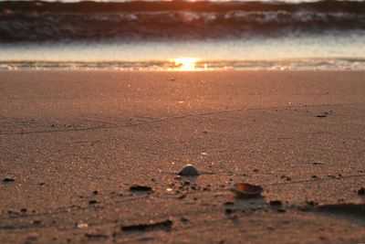Scenic view of beach during sunset