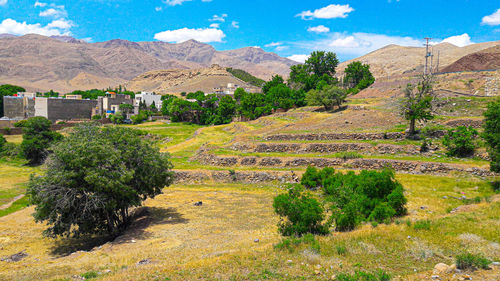 Panoramic shot of trees and buildings against sky