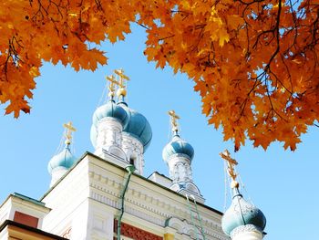 Low angle view of trees and building against sky