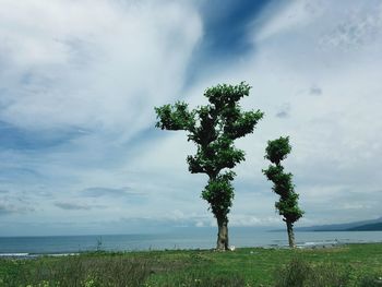 Tree by sea against sky