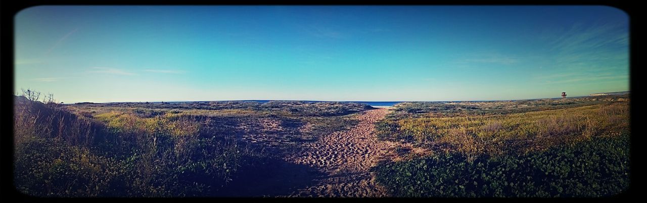 transfer print, blue, auto post production filter, tranquil scene, tranquility, landscape, scenics, beauty in nature, field, sky, nature, clear sky, horizon over land, grass, copy space, plant, growth, idyllic, sunlight, day