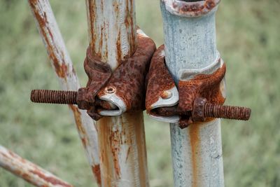 Close-up of rusty metal structure