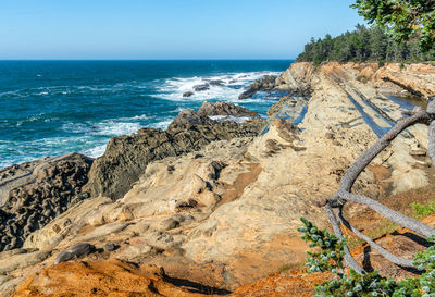 A view of the rugged shoreline at shore acres state park in oregon state.