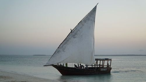 Sailboat sailing on sea against clear sky