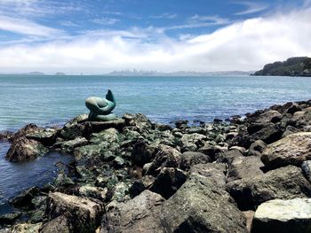 View of crab on rock by sea against sky