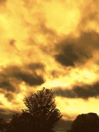 Low angle view of silhouette tree against sky during sunset