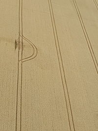 High angle view of tire tracks on field