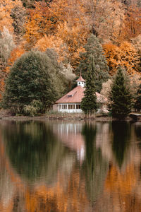 Scenic view of lake in forest
