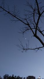 Low angle view of silhouette bare tree against clear blue sky