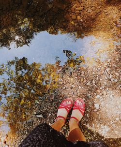 Low section of woman standing by stream