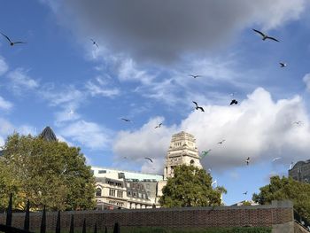 Low angle view of seagulls flying in building against sky