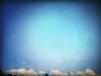 Low angle view of trees against blue sky