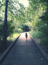 People walking in park