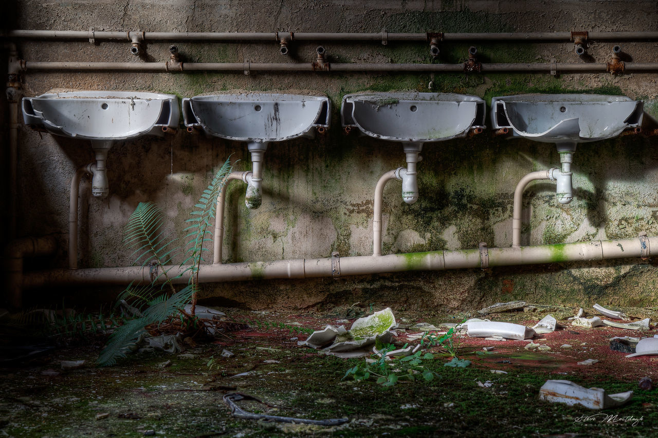 PLANTS HANGING ON OLD METAL WALL