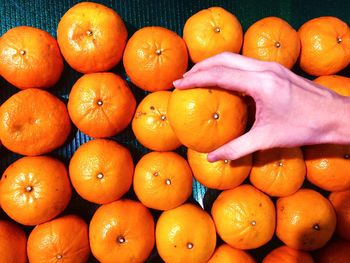 High angle view of orange fruits in market
