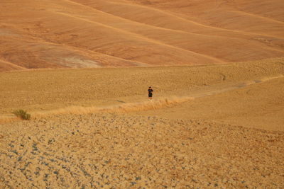 Man running in amazing tuscany landscape
