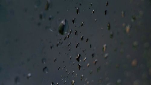 Full frame shot of drops