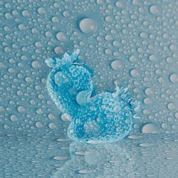 Close-up of water drops on glass