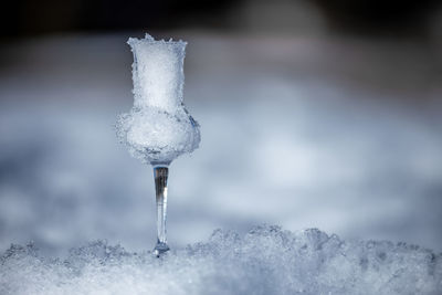 Picture of a flavored grappa -schnapps-glass filled with snow in cortina d'ampezzo, dolomites, italy