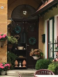 Flowers hanging on window