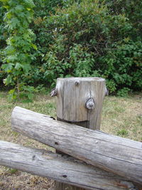 Wooden bench by tree on field