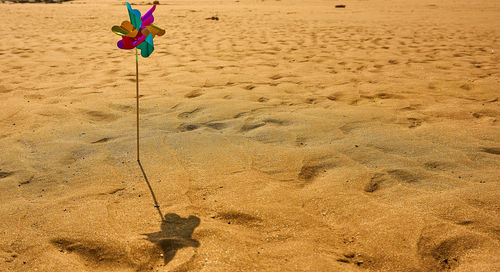 High angle view of toy on beach