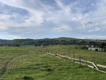 Scenic view of field against sky