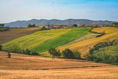 Scenic view of agricultural field against sky