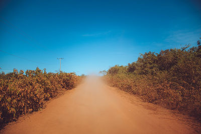 Dirt road amidst trees against blue sky