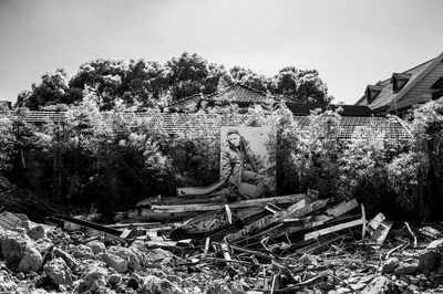 Statue by trees against sky