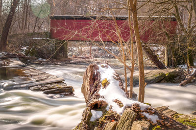 Scenic view of river in forest during winter