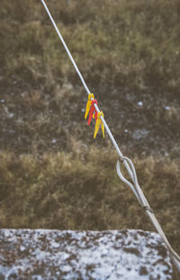 Close-up of clothespins hanging on rope