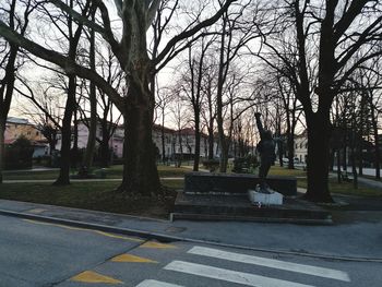 Bare trees in park