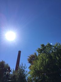 Low angle view of trees against blue sky