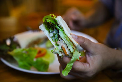 Close-up of hand holding sandwich 