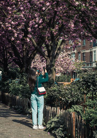 The girl shoots a video on the phone blooming sakura trees.