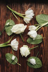 High angle view of white roses on table