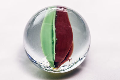 Close-up of glass with ball on white background